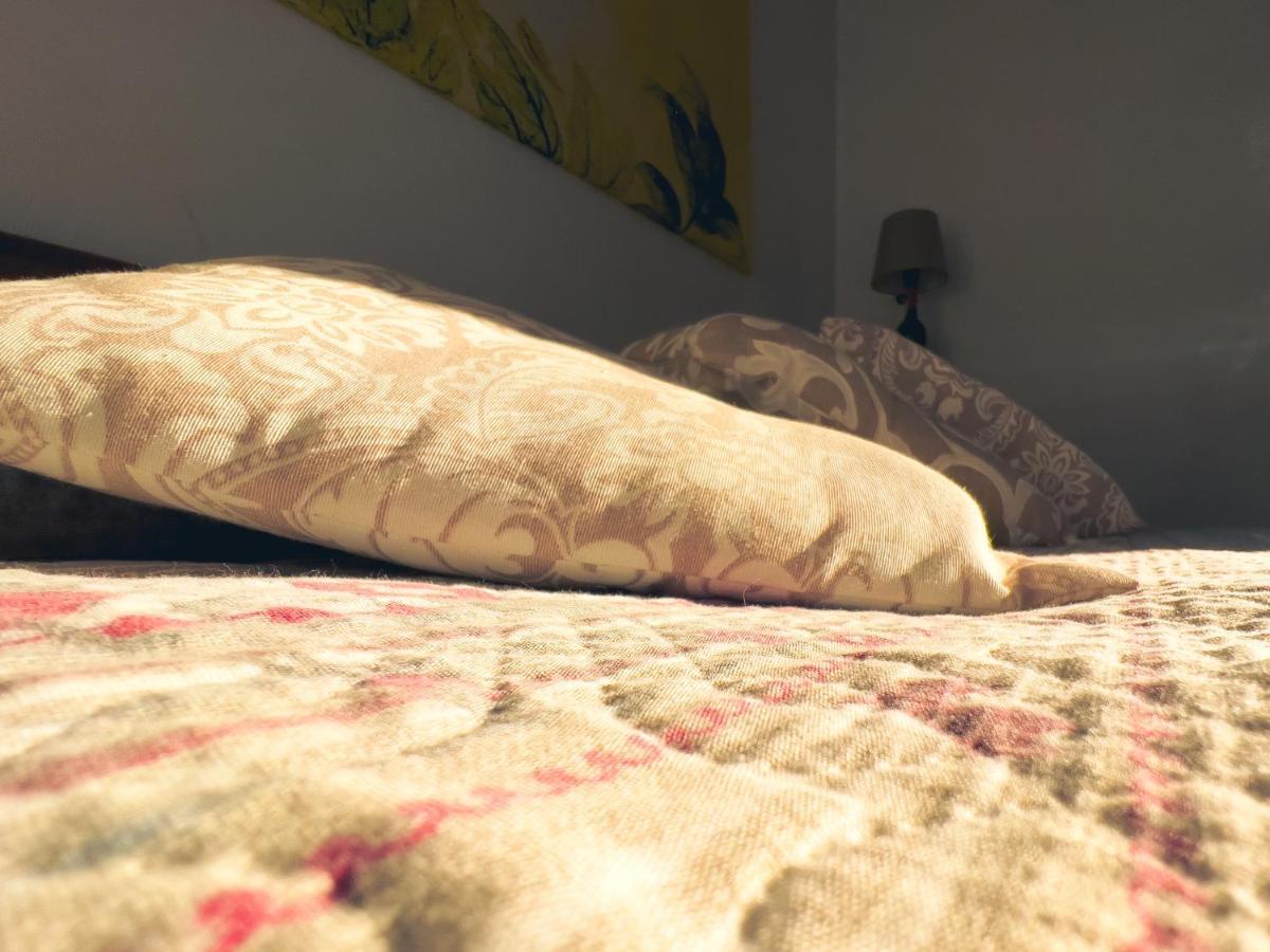 Tenuta Monteoliveto - Family Cottage - Agriturismo Nelle Langhe Vesime 外观 照片