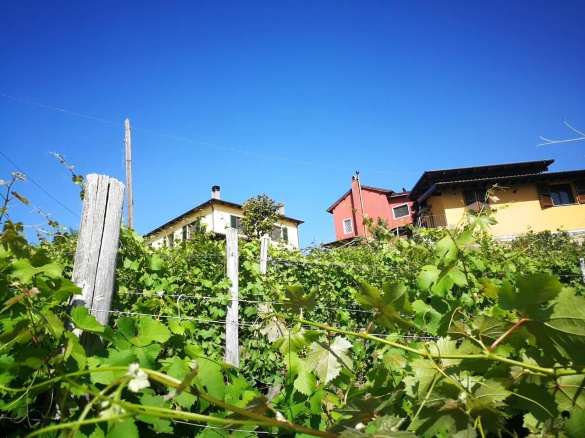 Tenuta Monteoliveto - Family Cottage - Agriturismo Nelle Langhe Vesime 外观 照片